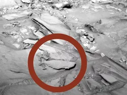 Tak Cuma Benda Mirip Tulang Kaki, Ini Objek Aneh Ditemukan di Mars