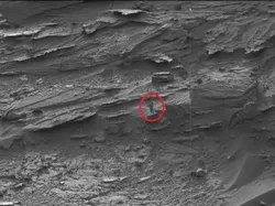 Tak Cuma Benda Mirip Tulang Kaki, Ini Objek Aneh Ditemukan di Mars