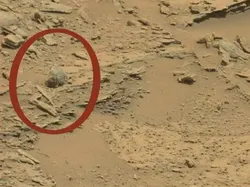 Tak Cuma Benda Mirip Tulang Kaki, Ini Objek Aneh Ditemukan di Mars