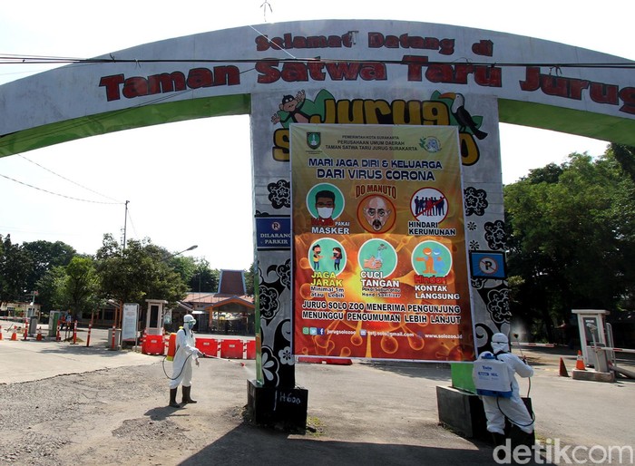 Taman Satwa Taru Jurug atau Solo Zoo rencananya akan kembali dibuka Jumat (19/6) esok. Sejumlah protokol kesehatan pun diterapkan di kebun binatang tersebut.