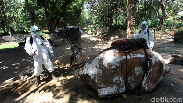 Kebun Binatang Area Klaten . Siap Dibuka Solo Zoo Terapkan Protokol Kesehatan Di Era New Normal