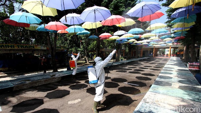 Siap Dibuka, Solo Zoo Terapkan Protokol Kesehatan di Era New Normal Taman Satwa Taru Jurug atau Solo Zoo rencananya akan kembali dibuka Jumat (19/6) esok. Sejumlah protokol kesehatan pun diterapkan di kebun binatang tersebut.