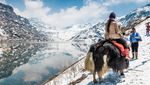 Pesona Sikkim, Negara Bagian India yang Punya 11 Bahasa Resmi