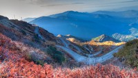 Sikkim adalah sebuah negara bagian yang di India dan terletak di pegunungan Himalaya. Istimewa/dok.esikkimtourism.in  