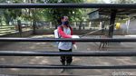 Persiapan Pembukaan Taman Satwa Taru Jurug Solo