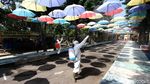 Persiapan Pembukaan Taman Satwa Taru Jurug Solo