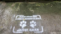 Ada garis aman juga untuk memberi jarak antar pengunjung.