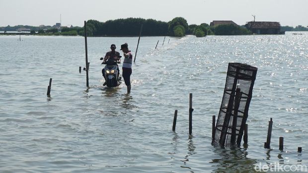 Warga melintas di jalan Dukuh Mondoliko, Desa Bedono Kecamatan Sayung, Demak yang terendam banjir rob, Kamis (18/6/2020).