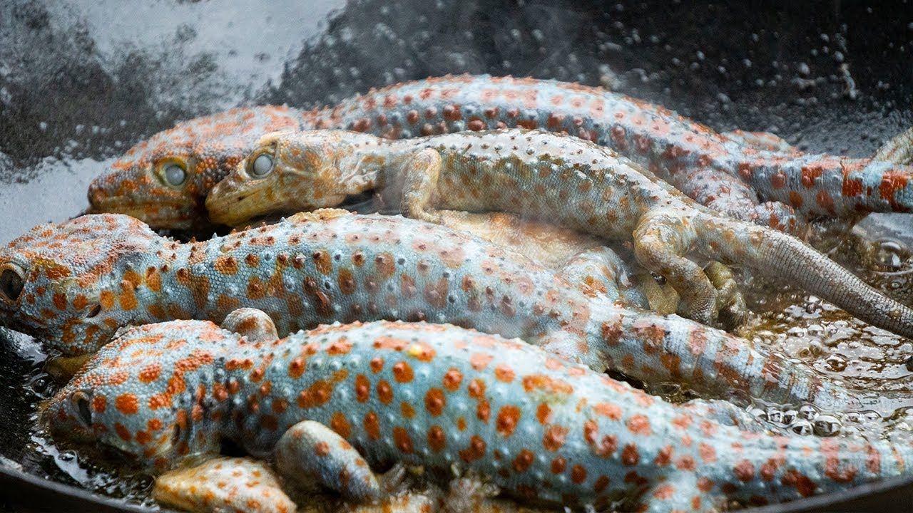 YouTuber Ini Hobi Masak Ratusan Kilo Tikus dan Kerang