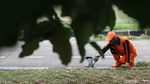 Aksi Pasukan Oranye Percantik Jalan Inspeksi KBT