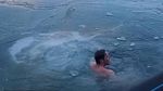 Brr... Pria Ini Kuat Banget, Hobinya Berenang di Lautan Es