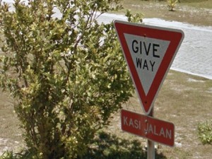 Pulau Natal dan Cocos Viral di Twitter, Kenapa Ya?