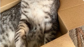 Lagi gak mood nih, tolong jangan ganggu dulu. (Foto: Brightside)