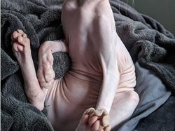 Beragam Ekspresi Lucu Si Kucing Bikin Weekend Ceria