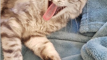 Yeay hari ini weekend! (Foto: Brightside)