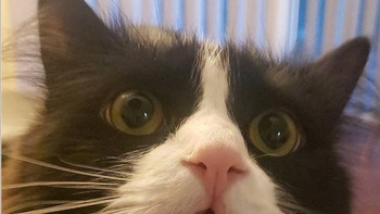 Apa itu ya? (Foto: Brightside)