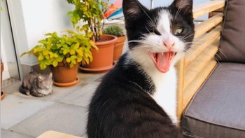 Begini jadinya wajah masih ngantuk tapi masih tetap bergaya di foto. (Foto: Brightside)