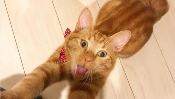 Gendong aku hooman. (Foto: Brightside)