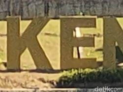 Hasil Jepretan Kamera Realme X3 Superzoom