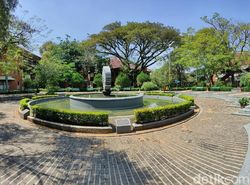 Hasil Jepretan Kamera Realme X3 Superzoom