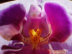 Hasil Jepretan Kamera Realme X3 Superzoom