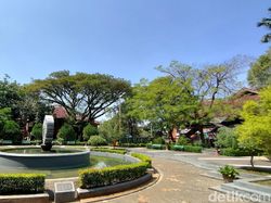 Hasil Jepretan Kamera Realme X3 Superzoom