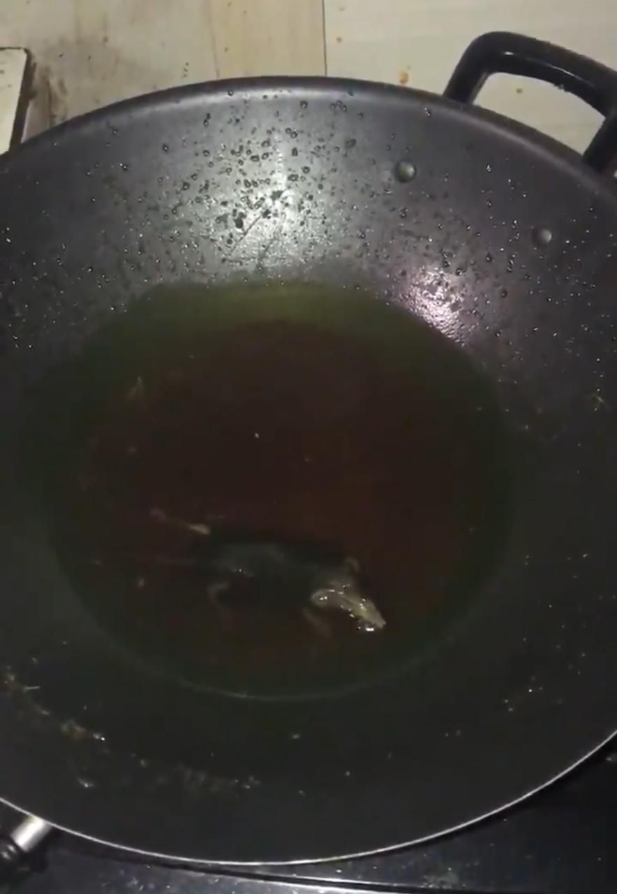 hewan di makanan