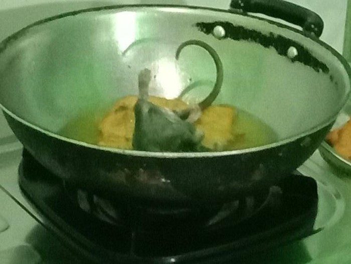 hewan di makanan hewan di makanan