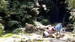 Mau ke Destinasi Wisata Ramah Anak, Datang Saja ke Cibodas