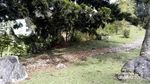 Mau ke Destinasi Wisata Ramah Anak, Datang Saja ke Cibodas