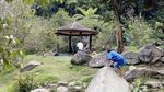 Mau ke Destinasi Wisata Ramah Anak, Datang Saja ke Cibodas