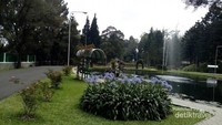 Kolam di area Kebon Raya Cibodas. Anda bisa bersantai di sekitarnya.