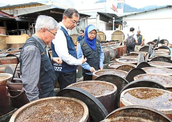 Penuh Serangga dan Kotoran Tikus 5 Pabrik Makanan  Ini 