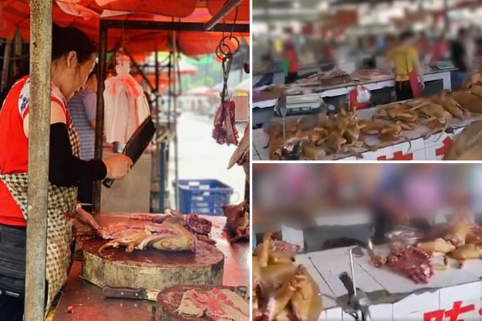 Pasar Yuli Masih Jual Daging Anjing