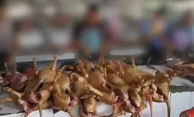 Pasar Yuli Masih Jual Daging Anjing