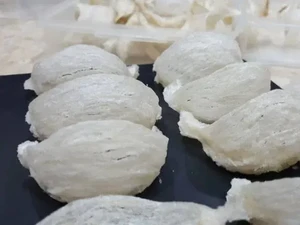 RI-China Kerja Sama Dagang, Sarang Burung Walet Jadi Primadona