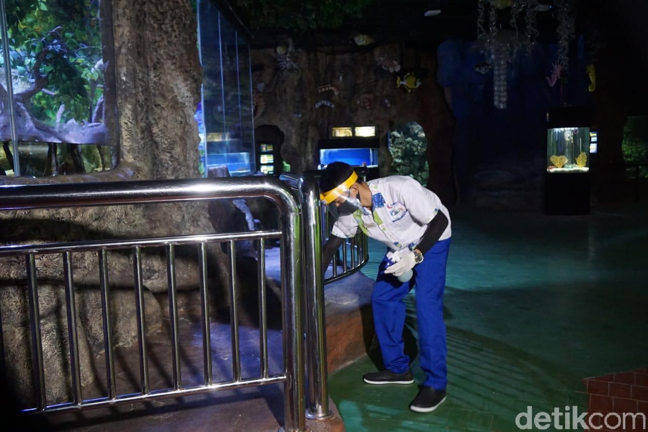 sea world ancol new normal