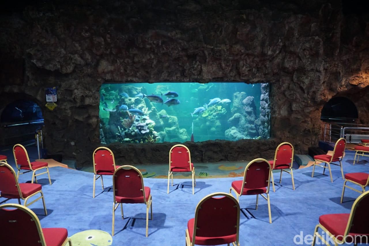 sea world ancol new normal