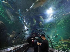 Himbauan dan Informasi Jam Operasional Ancol di New Normal