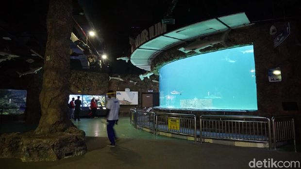 sea world ancol new normal