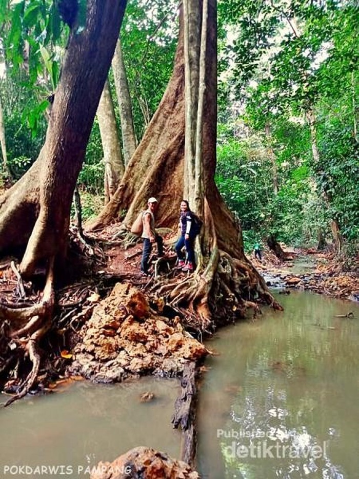 Sungai Pampang Samarinda Sungai Pampang Samarinda
