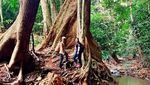 Begitu Eksotis, Jelajah Sungai Pampang Samarinda