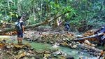 Begitu Eksotis, Jelajah Sungai Pampang Samarinda