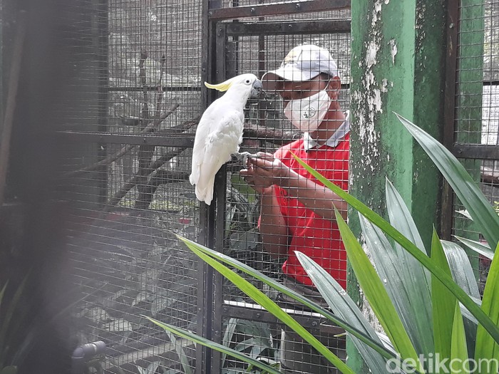 Taman Satwa Taru Jurug atau Solo Zoo