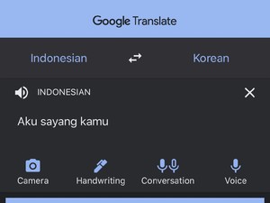 Cara Pakai Google Translate Terjemahan Percakapan Lewat iPhone & Android