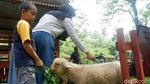 Kebun Binatang Banjarnegara Siapkan Jalur Khusus Wisatawan