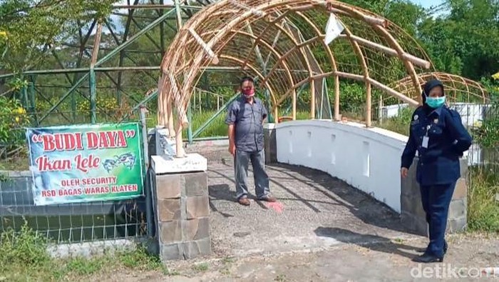 Kolam lele di RSD Bagas Waras, Klaten Kolam lele di RSD Bagas Waras, Klaten