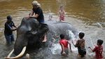 Serunya Main Air Sambil Memandikan Gajah di Aceh