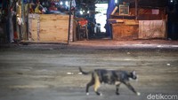 Pasar di Pasar Minggu akan kembali dibuka pada, Senin (22/6/2020).