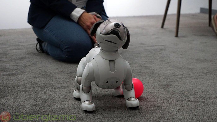 robot anjing aibo